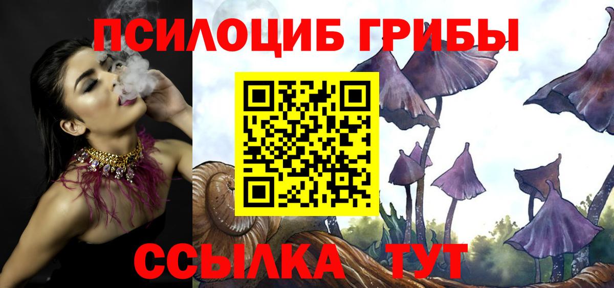 Псилоцибиновые грибы мухоморы  Галлюциногенные грибы мухоморы  Вход с VPN  Казань 