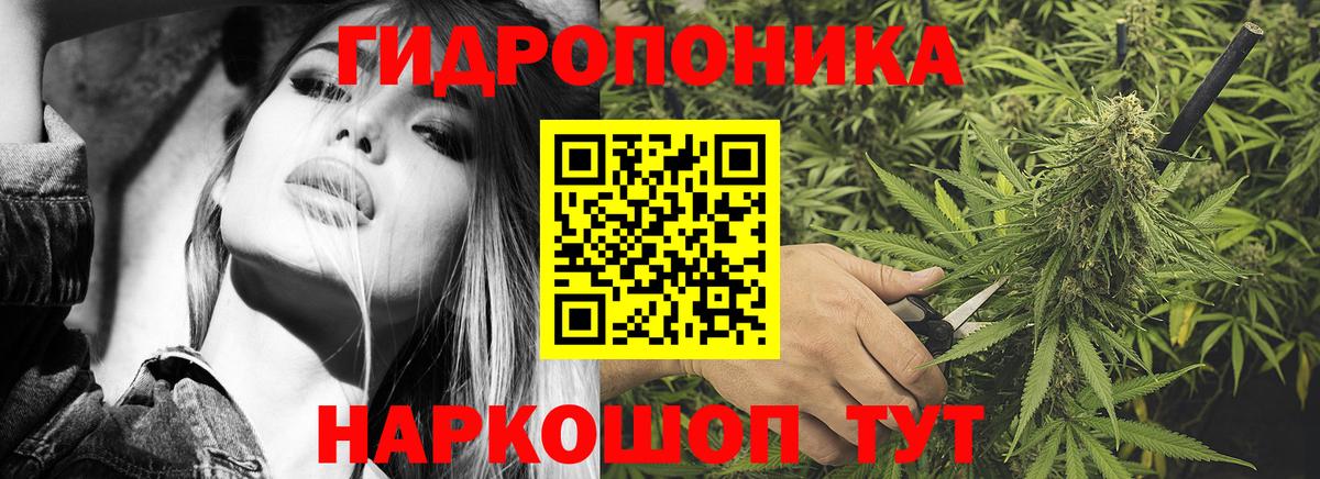 Бошки марихуана VHQ Казань